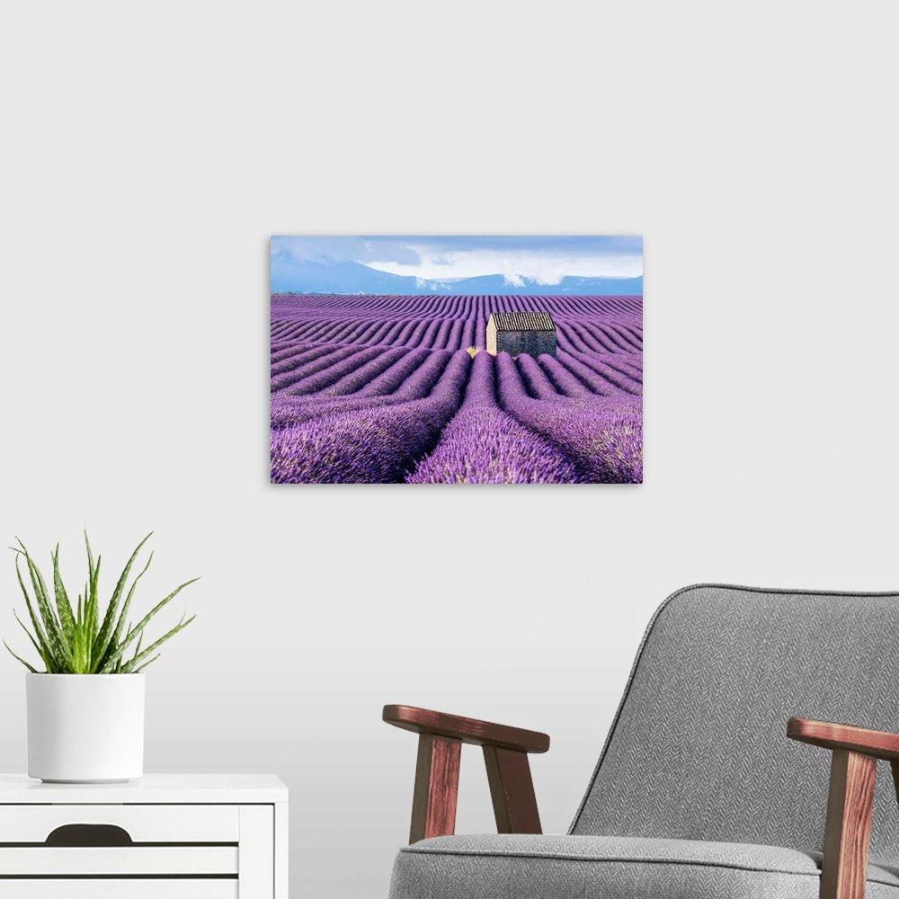 Provence Dreamscape: A Serene Landscape Lavender Wall Art for Your Home