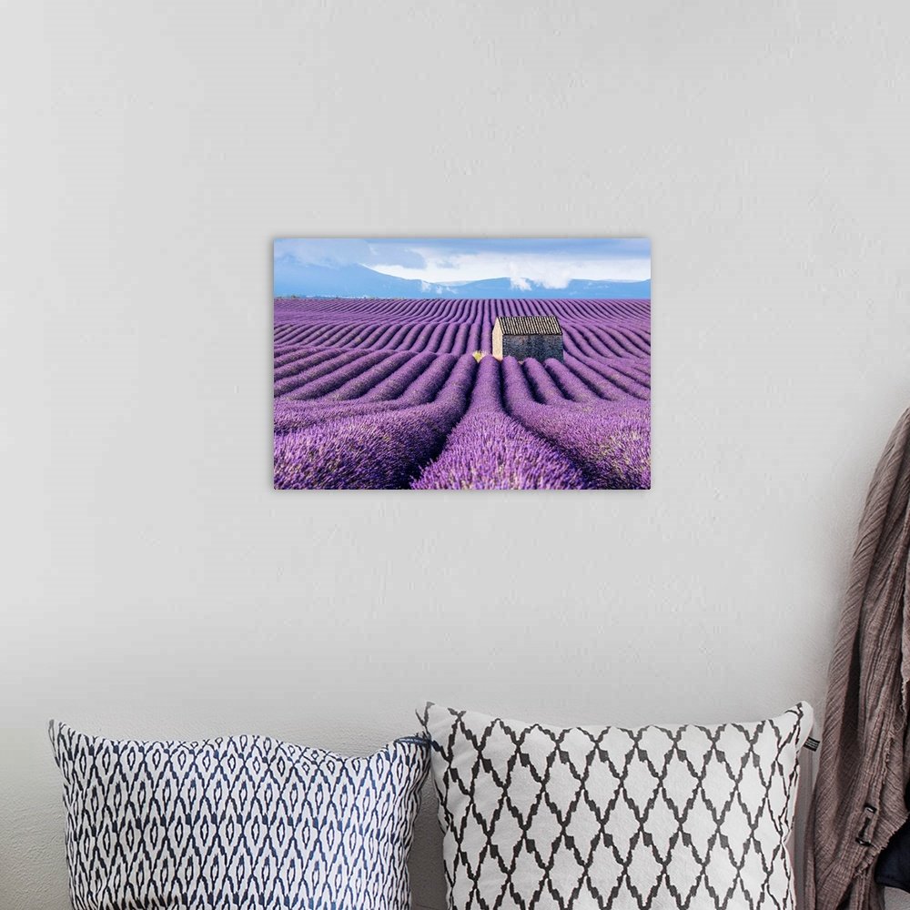 Provence Dreamscape: A Serene Landscape Lavender Wall Art for Your Home