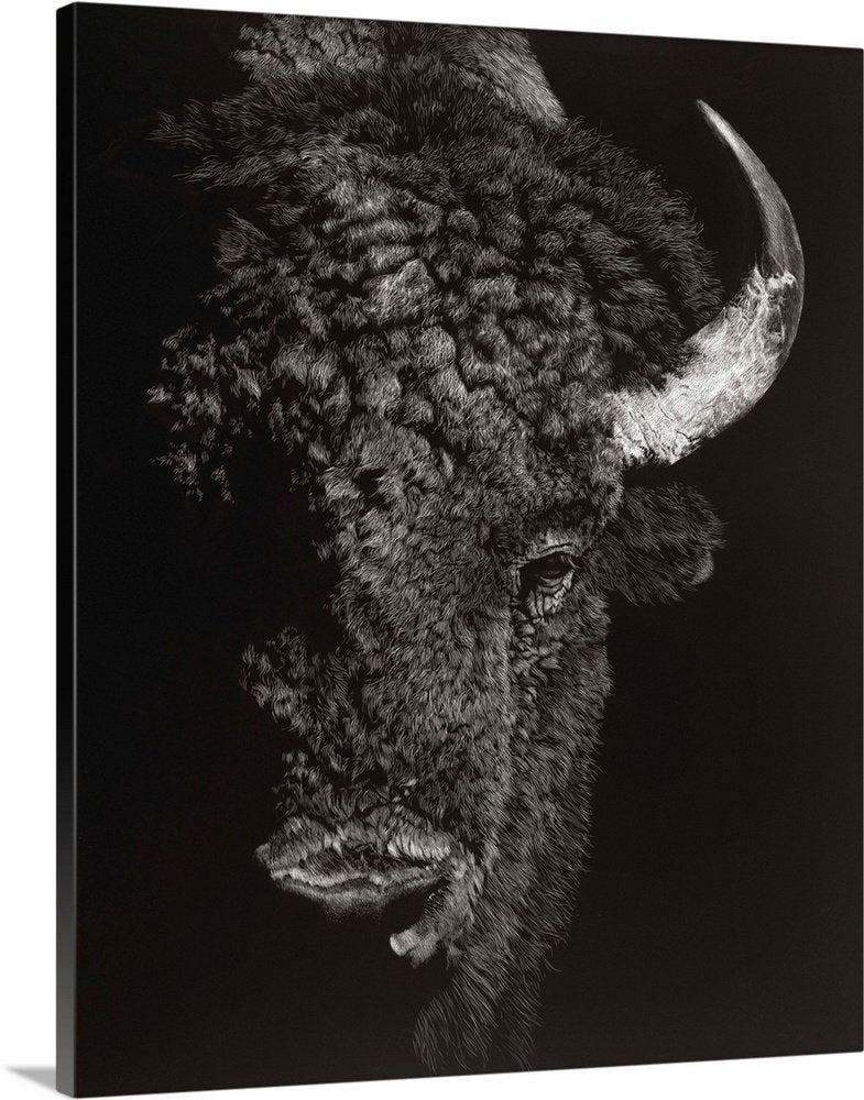 Shadow Titan: A Dramatic Black and White Bison Wall Art Portrait