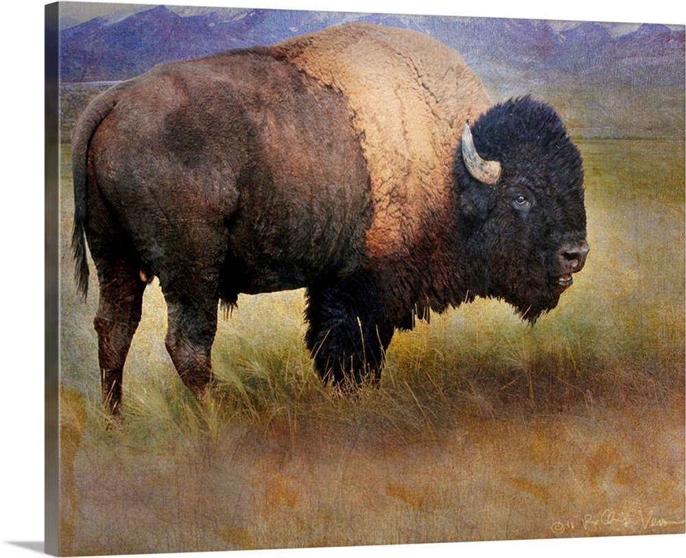 Prairie Monarch: A Majestic Rustic Bison Canvas Painting for Your Lodge