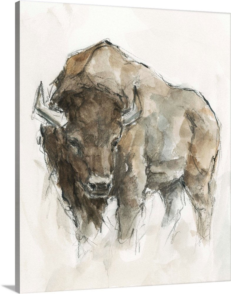 Plains Wanderer: A Minimalist Sketch Bison Wall Art for Modern Homes