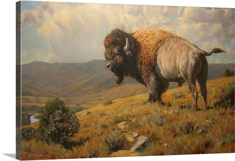 King of the Ridge: A Rustic Western Bison Canvas Painting for Your Lodge