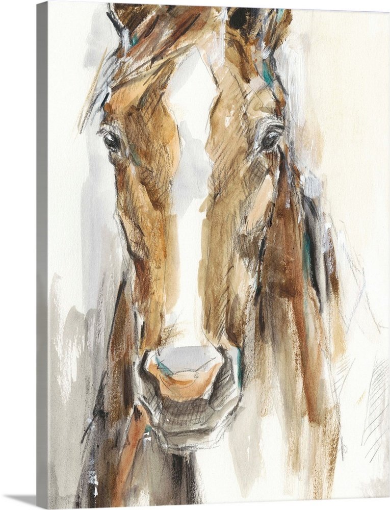 Stable Soul: An Expressive Minimalist Horse Wall Art Sketch