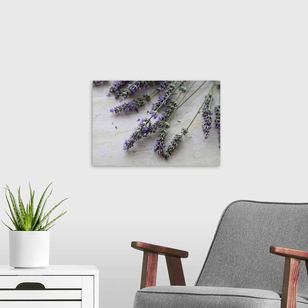 Lavender Harvest: A Simple Rustic Botanical Wall Art Print