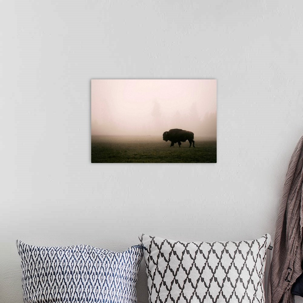 Ghost of the Plains: A Serene Landscape Bison Wall Art in the Mist