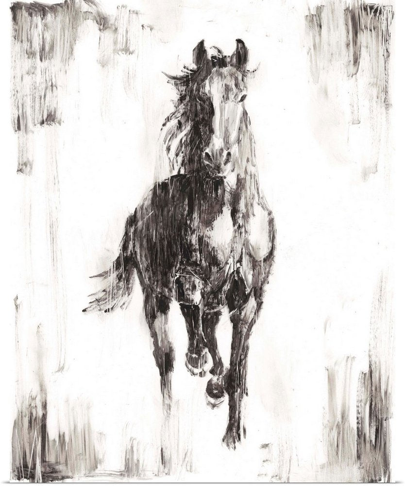 Black and White Horse Art - Untamed Spirit Minimalist Canvas