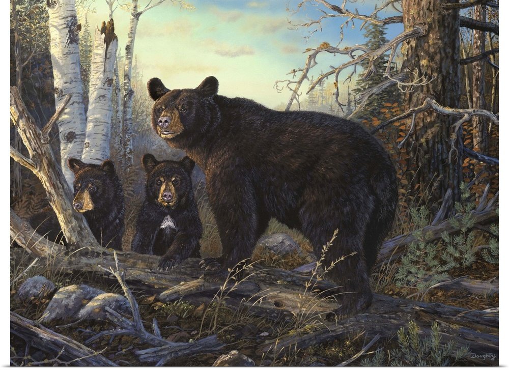 Birchwood Watch: A Heartwarming Wildlife Bear Wall Art for Your Cabin