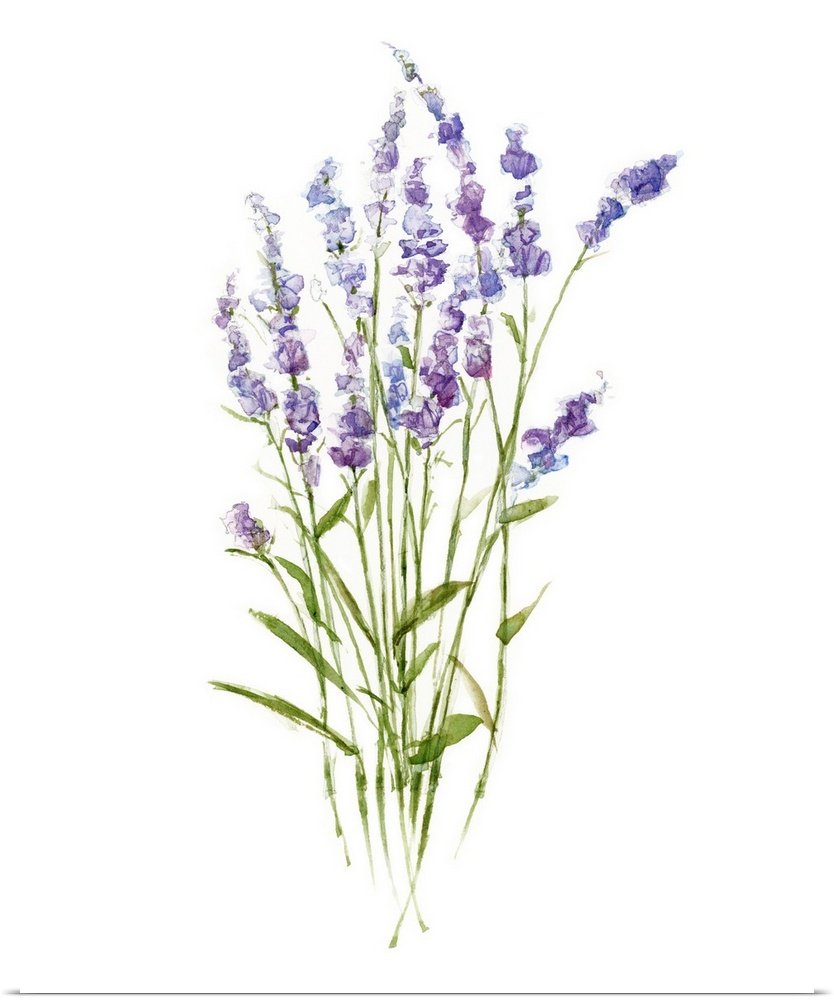 Lavender Grace: A Modern Botanical Lavender Wall Art for Minimalist Decor