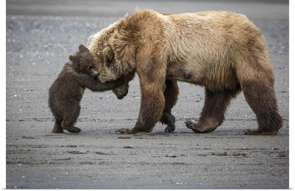 Tender Lessons: A Heartwarming Wildlife Bear Wall Art for Your Home