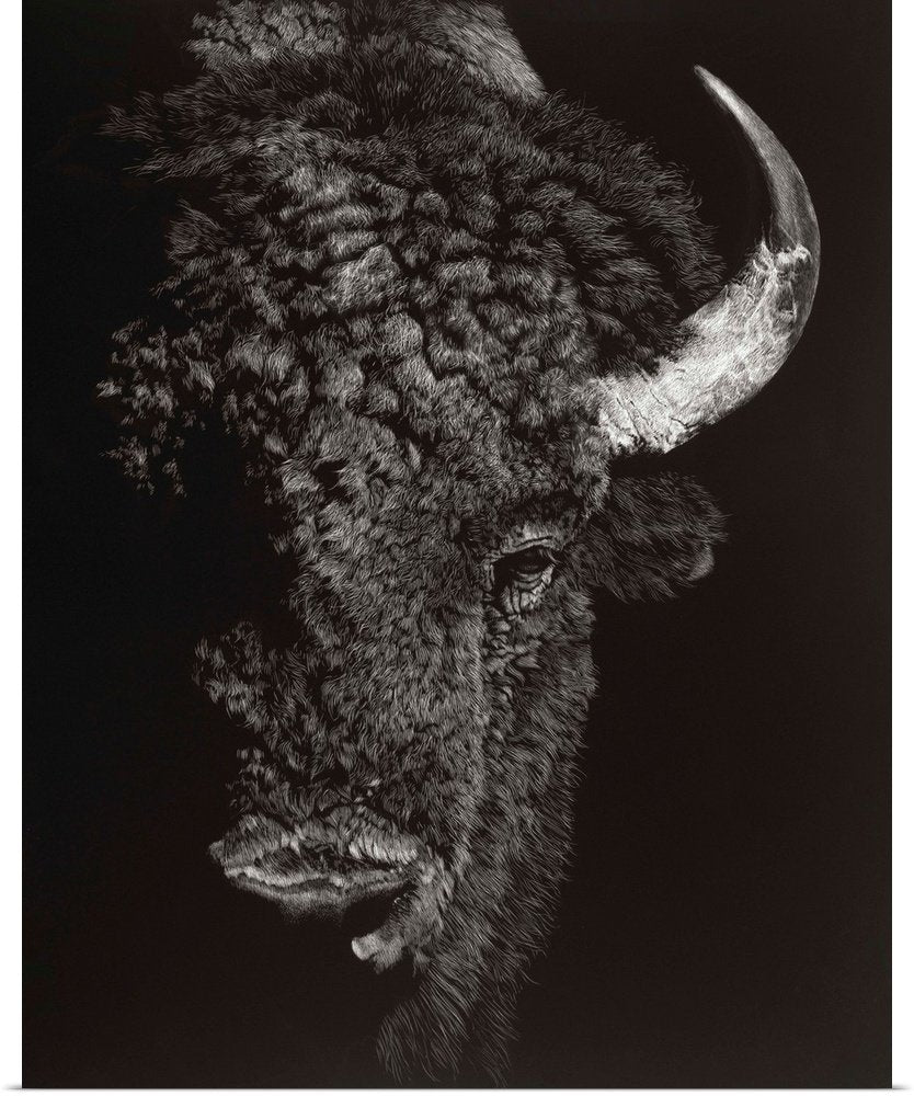 Shadow Titan: A Dramatic Black and White Bison Wall Art Portrait