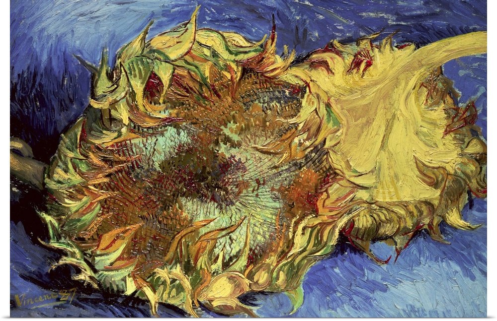 The Waning Bloom: A Famous Vintage Flower Canvas Painting by Van Gogh