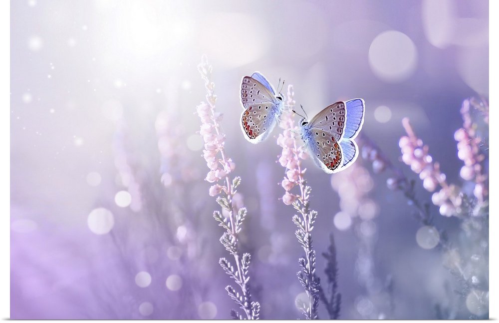 Lilac Lullaby: A Modern Butterfly Wall Art for Serene Spaces