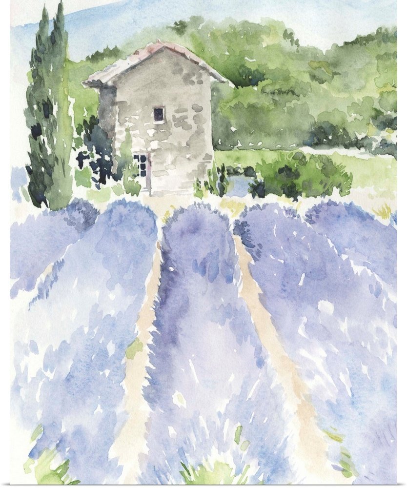 A Provence Daydream: A Rustic Watercolor Lavender Canvas Painting