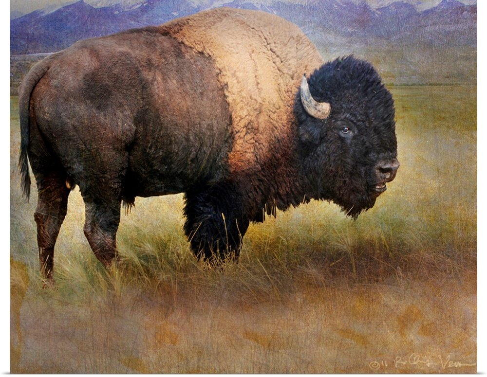 Prairie Monarch: A Majestic Rustic Bison Canvas Painting for Your Lodge