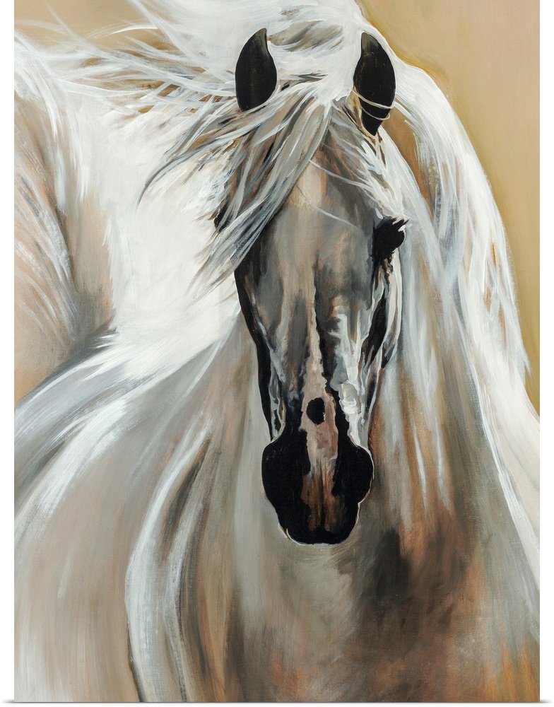 White Horse Wall Art - Windswept Elegance Modern Canvas