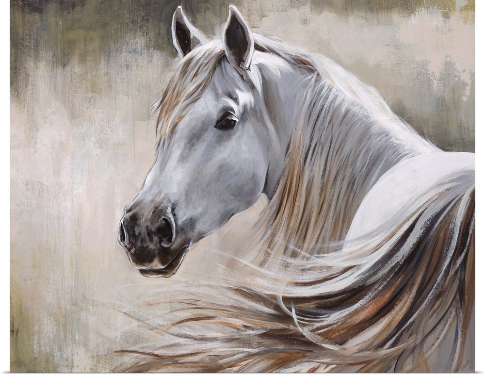 White Horse Canvas Painting - Whispering Mane Rustic Art