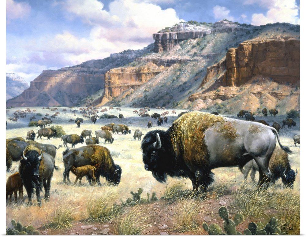 Spirit of the Canyon: A Majestic Rustic Bison Canvas Painting