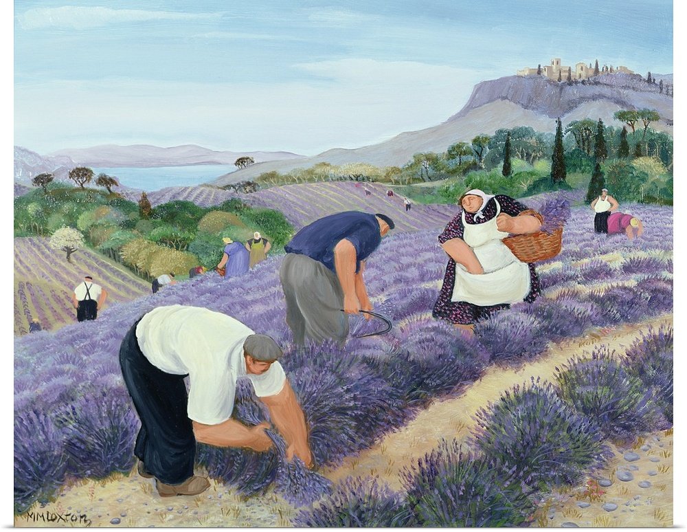 The Lavender Harvest of Provence: A Charming Farmhouse Lavender Canvas Painting