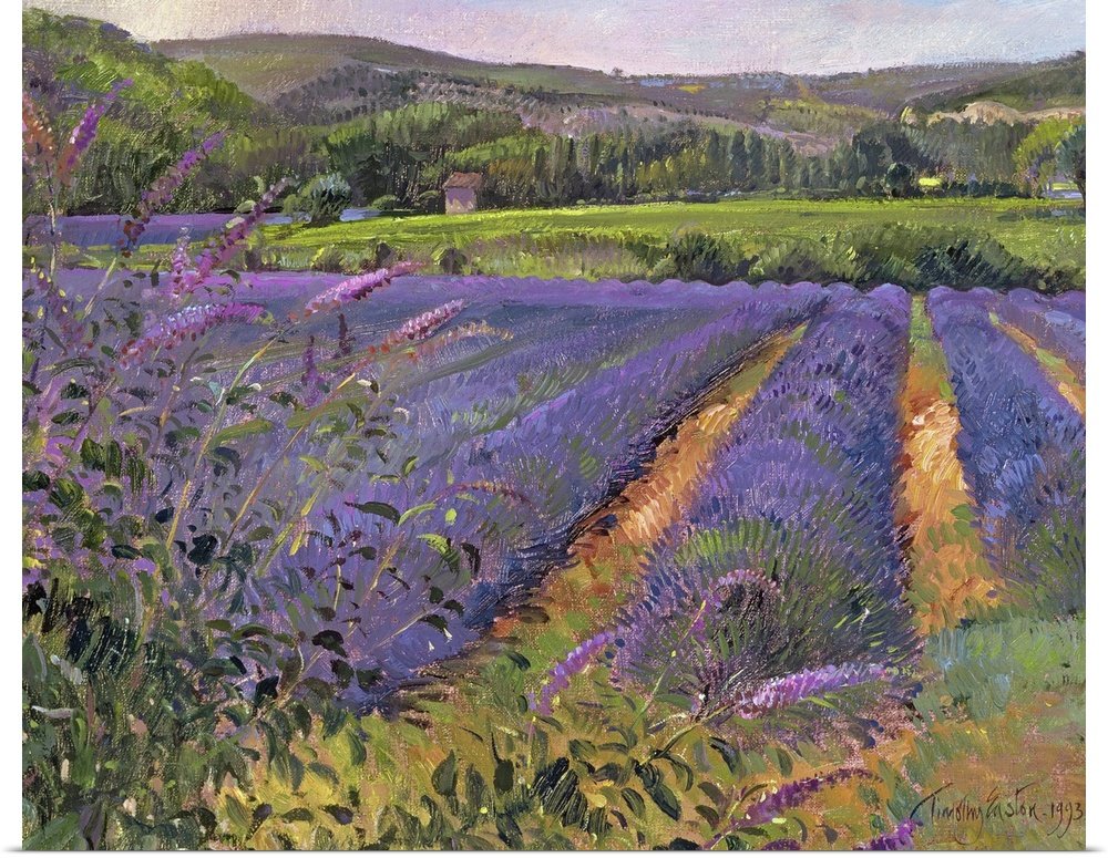 Provence Morning: An Impressionist Lavender Landscape Canvas Painting